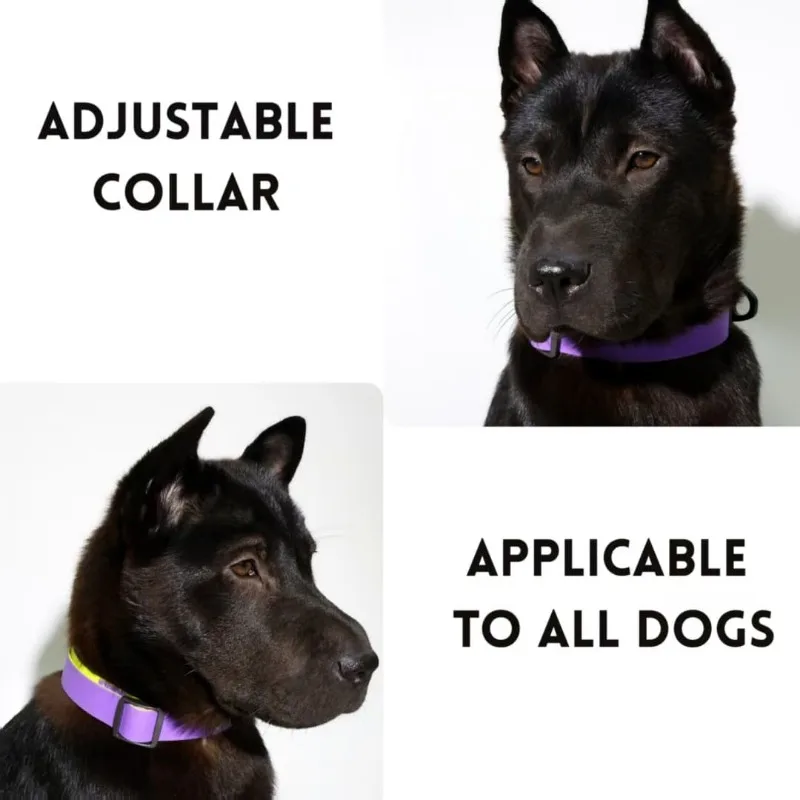 РегулируемыйDogCollarLeashSetMatchingPetCollarAndLeashComboNylonMaterialКомфортная ручкаForSmallMediumLargeDogWalkingTraining
РегулируемыйDogCollarLeashSetMatchingPetCollarAndLeashComboNylonMaterialКомфортная ручкаForSmallMediumLargeDogWalkingTraining
