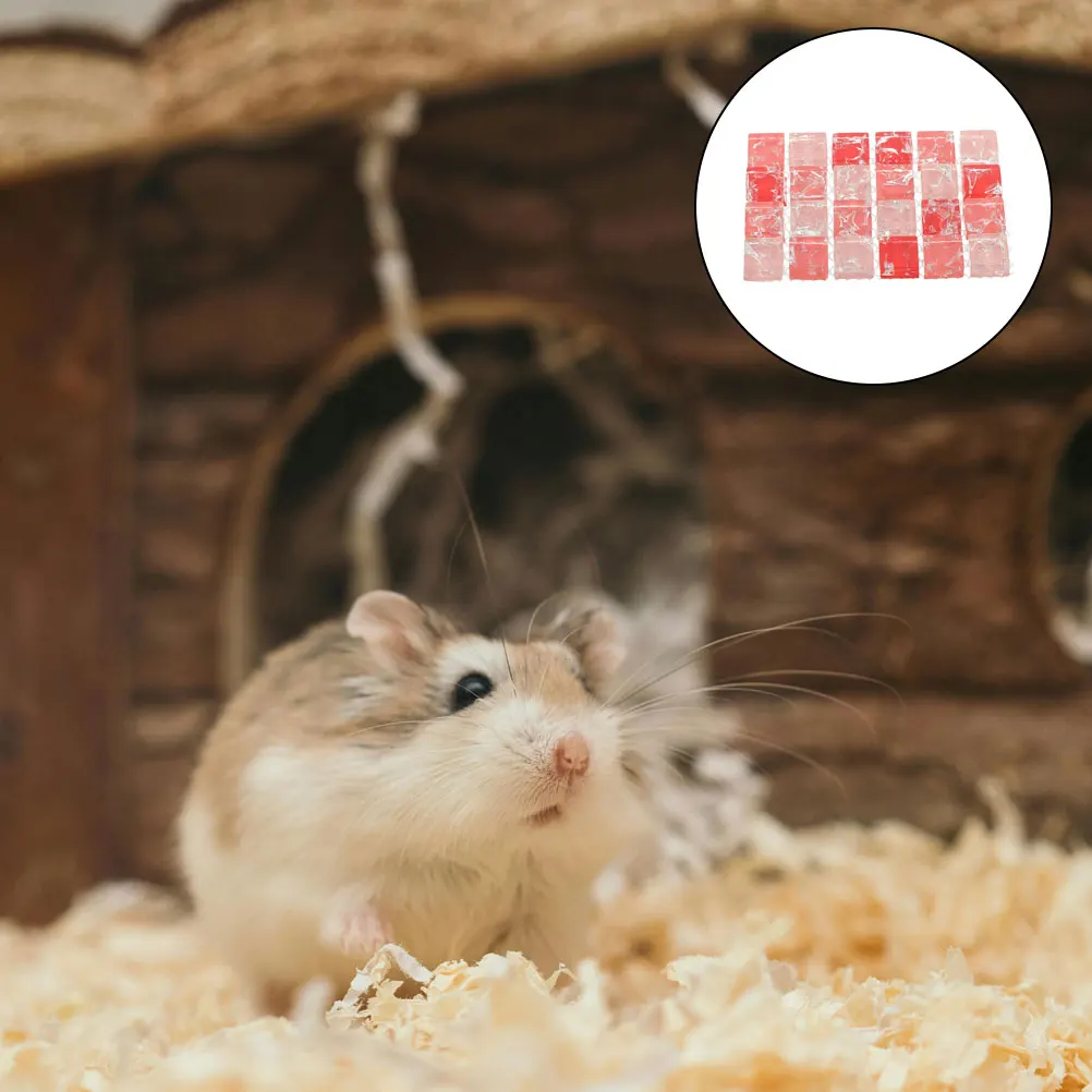 3 Pcs Pet Cool Pad Hamster Nest Cooling Mat Blanket Mats for Pets Glass Little Baby
3 Pcs Pet Cool Pad Hamster Nest Cooling Mat Blanket Mats for Pets Glass Little Baby