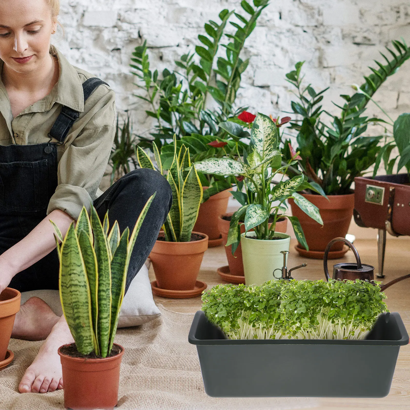 Army Green Vertical Wall Planter Durable Plastic Wall Mounted Pot for Balcony Garden Room Yard Water Saving
Army Green Vertical Wall Planter Durable Plastic Wall Mounted Pot for Balcony Garden Room Yard Water Saving