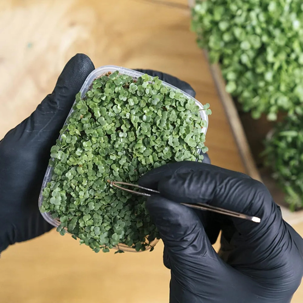 4 PCS Tweezers Stainless Steel Curved Tip Arc Sewing Machine Tweezer Kit Suitable for Model Making Craft Jewelry and Nail Art
4 PCS Tweezers Stainless Steel Curved Tip Arc Sewing Machine Tweezer Kit Suitable for Model Making Craft Jewelry and Nail Art