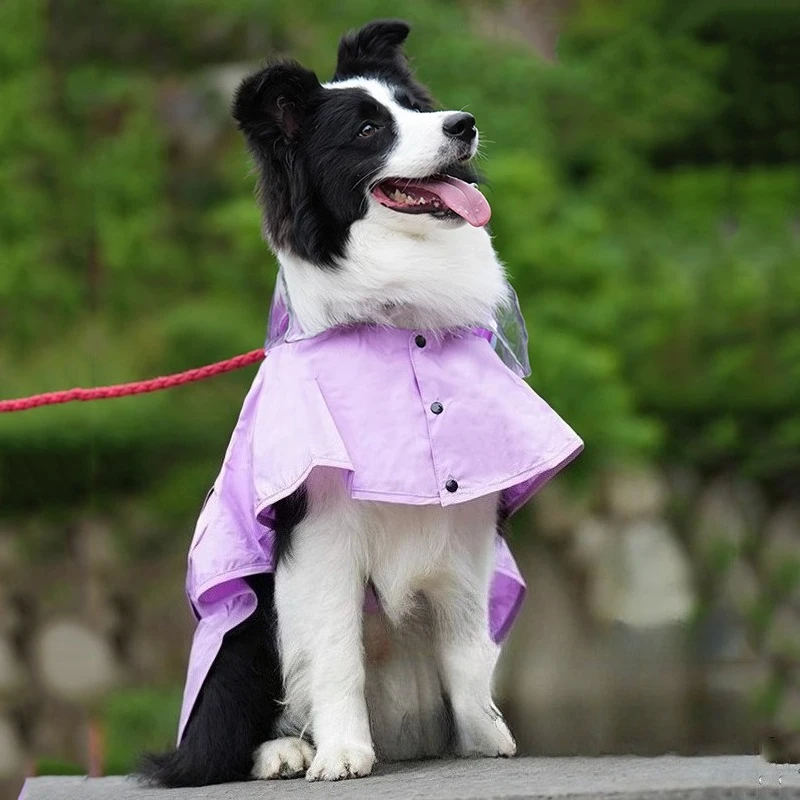 Профессиональный плащ для домашних животных U-образный быстрый плащ-пончо дышащий для средних и маленьких собак водонепроницаемые плащи костюм для собак товары для домашних животных
Профессиональный плащ для домашних животных U-образный быстрый плащ-пончо дышащий для средних и маленьких собак водонепроницаемые плащи костюм для собак товары для домашних животных