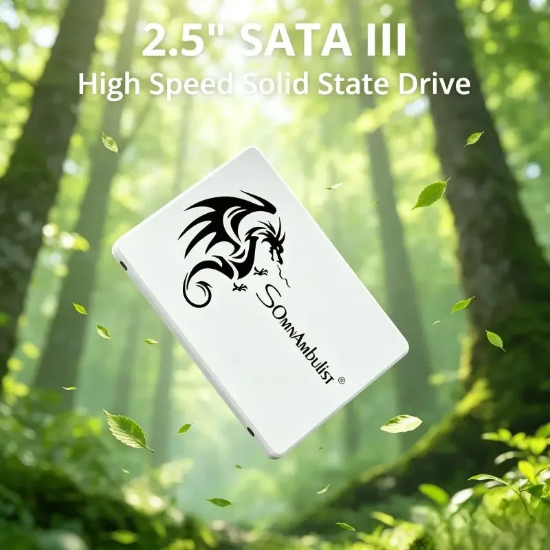 Swift Exquisite SomnAmbulist SATA3 2.5 Inch Solid State Drive Multiple Memory For Daily Desktop Laptop Assembly
Swift Exquisite SomnAmbulist SATA3 2.5 Inch Solid State Drive Multiple Memory For Daily Desktop Laptop Assembly