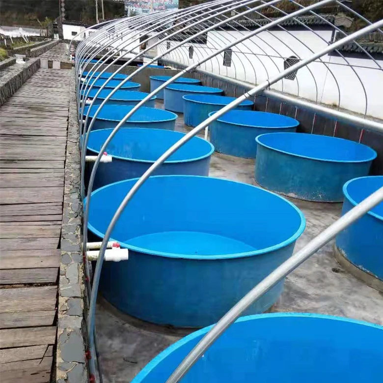 Wholesale Custom Outdoor Large Big Size Frp Fiberglass Breeding Koi Aquaculture Fish Farm Pond Fish tank Aquarium
Wholesale Custom Outdoor Large Big Size Frp Fiberglass Breeding Koi Aquaculture Fish Farm Pond Fish tank Aquarium