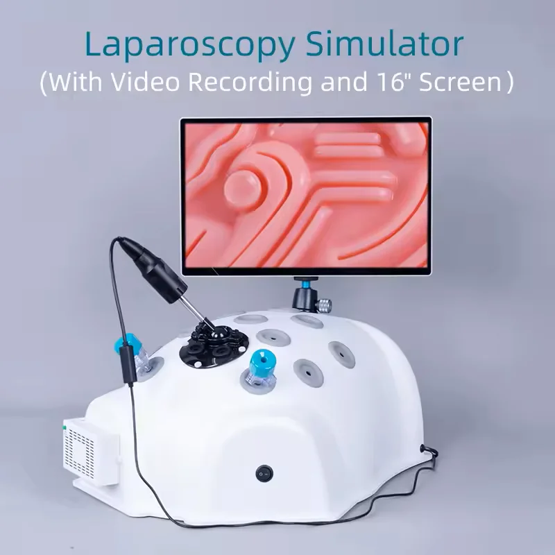 Laparoscopy Simulator Laparoscopic Endoscope Trainer Endoscopy Camera Laparoscopic Instruments Surgery Teaching Surgical
Laparoscopy Simulator Laparoscopic Endoscope Trainer Endoscopy Camera Laparoscopic Instruments Surgery Teaching Surgical