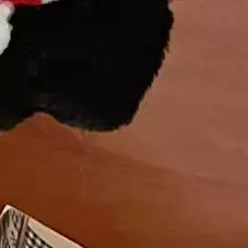 Sweet Black Plush Cat Doll Keychain, Perfect School Bag Pendant or Couple Present
Sweet Black Plush Cat Doll Keychain, Perfect School Bag Pendant or Couple Present