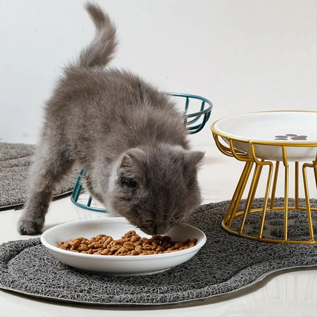 A56K Pet Bowl Stand, Nordic Cat Bowl High Stand, Bowl Stand, Anti-Cervical Spondylosis and Anti-Turnover Cat Food Bowl Black
A56K Pet Bowl Stand, Nordic Cat Bowl High Stand, Bowl Stand, Anti-Cervical Spondylosis and Anti-Turnover Cat Food Bowl Black