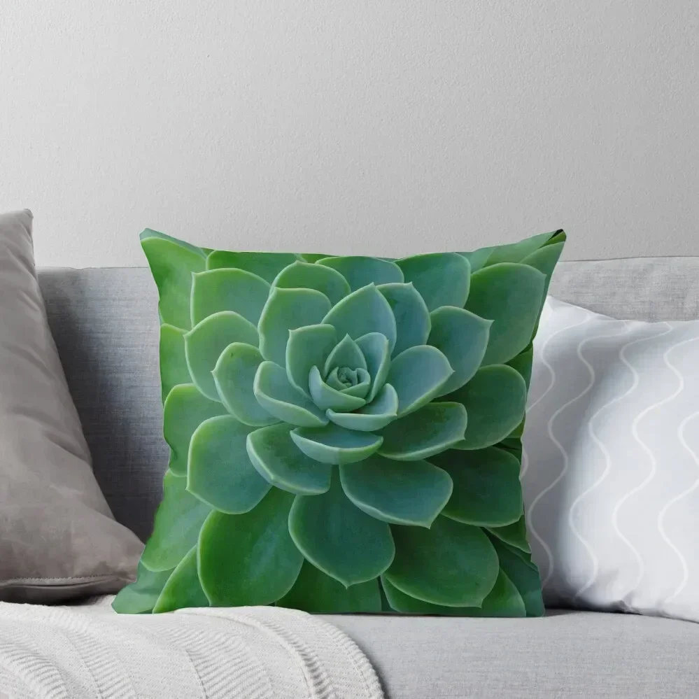 Echeveria Coolvue Throw Pillow Christmas Covers Cushion Cover Luxury Cushion Cover Set Cushion Covers For Living Room pillow
Echeveria Coolvue Throw Pillow Christmas Covers Cushion Cover Luxury Cushion Cover Set Cushion Covers For Living Room pillow