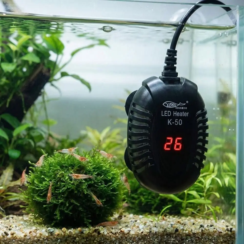 Automatic Temperature Aquarium Heater Adjustable LED Digital Display Submersible Heater Thermostat Control Precise Temperature
Automatic Temperature Aquarium Heater Adjustable LED Digital Display Submersible Heater Thermostat Control Precise Temperature