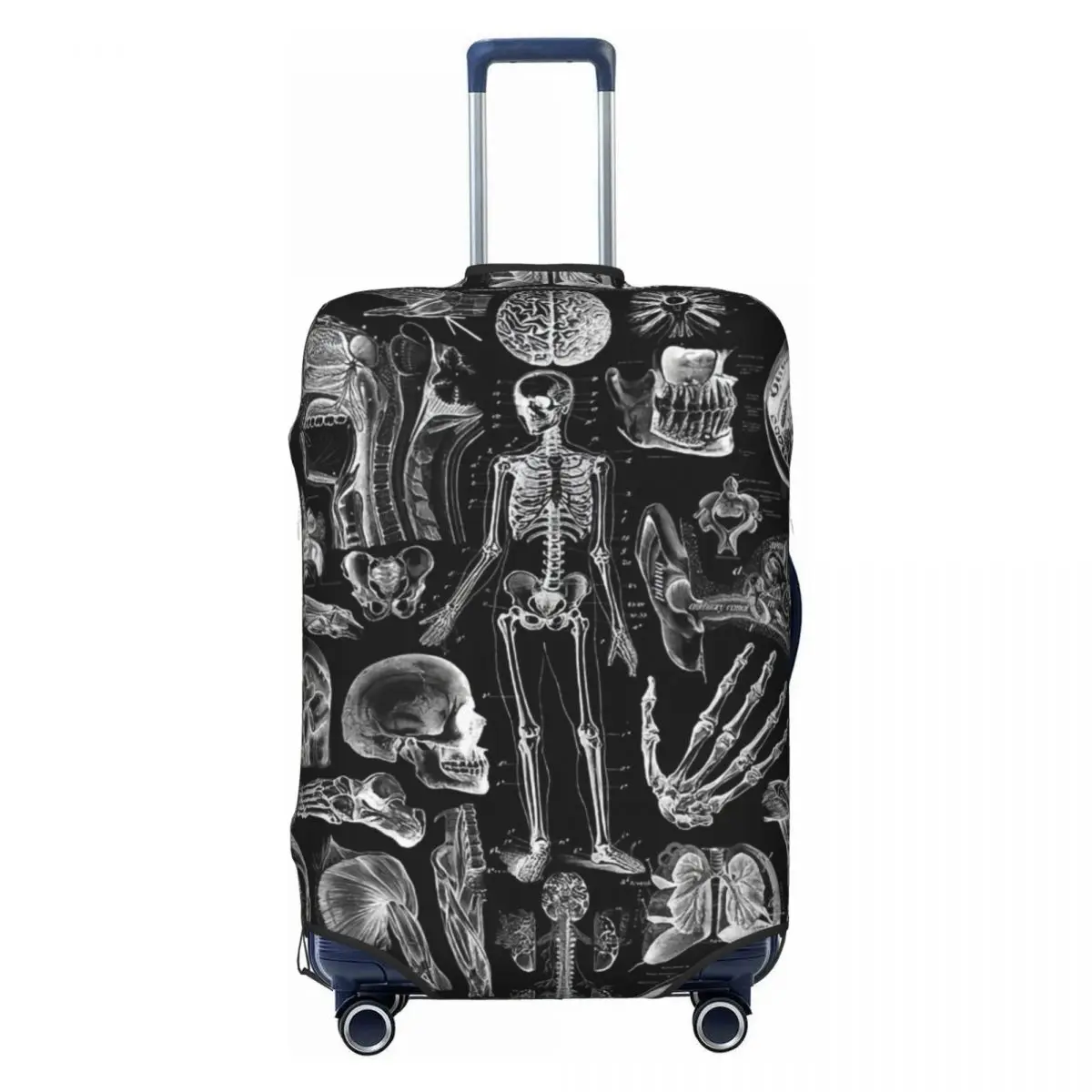 Human Anatomy Printed Luggage Cover Elastic Travel Suitcase Protective Covers Fits 18-32 Inch
Human Anatomy Printed Luggage Cover Elastic Travel Suitcase Protective Covers Fits 18-32 Inch