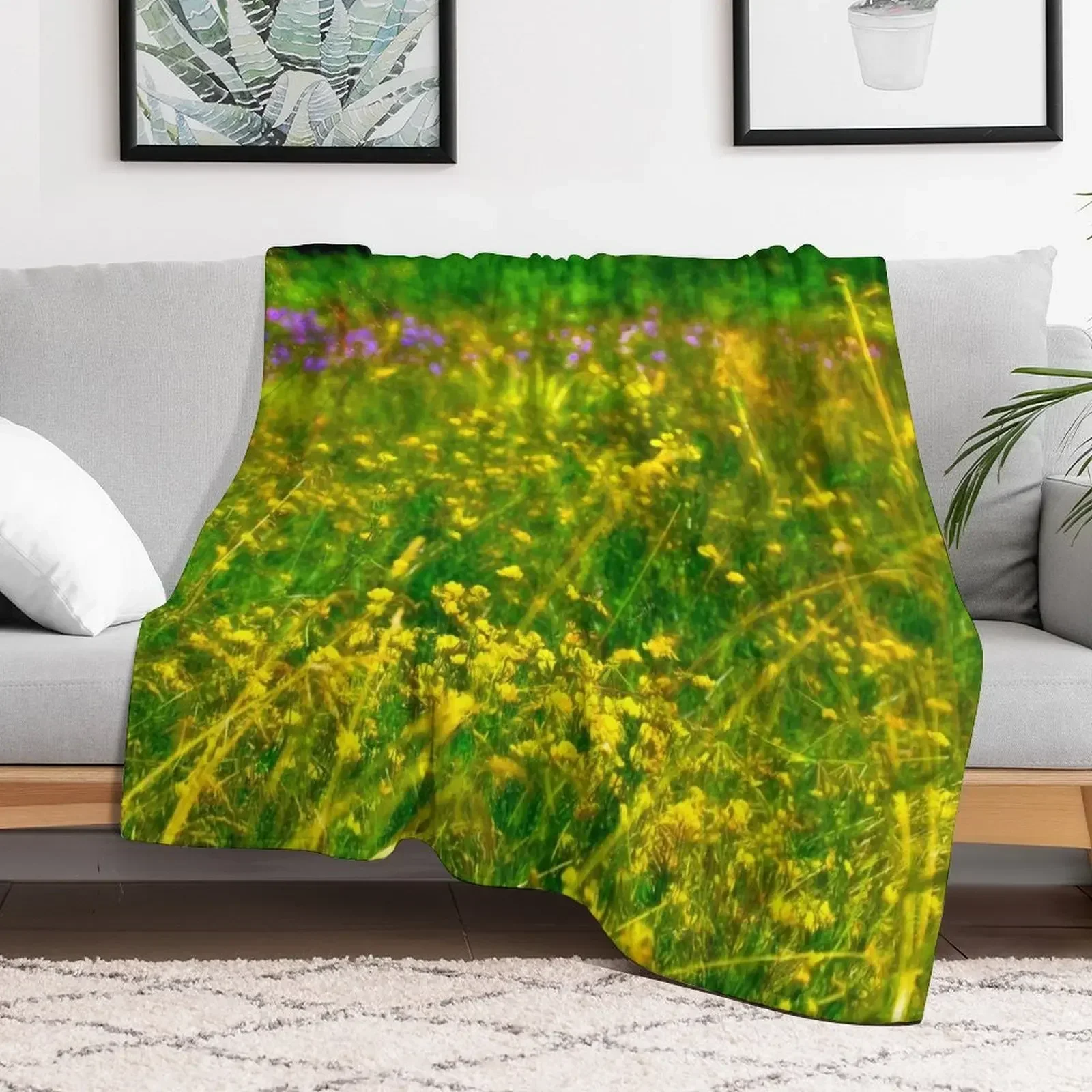 Meadow Afternoon, Photographic Impression Native Plants Throw Blanket Extra Large Throw Furrys Moving Blankets
Meadow Afternoon, Photographic Impression Native Plants Throw Blanket Extra Large Throw Furrys Moving Blankets