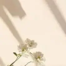 12V 9.8Ah Replacement Battery For Milwaukee M12 XC 48-11-2401, 48-11-2402, 48-11-2420, 48-11-2411,48-11-2412,M12B2,M12B4
12V 9.8Ah Replacement Battery For Milwaukee M12 XC 48-11-2401, 48-11-2402, 48-11-2420, 48-11-2411,48-11-2412,M12B2,M12B4