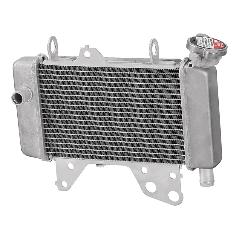 Radiator Cooler Cooling Fit For HONDA RS150 17-23 RSX150 21-24 WINNER 150 19-24
Radiator Cooler Cooling Fit For HONDA RS150 17-23 RSX150 21-24 WINNER 150 19-24