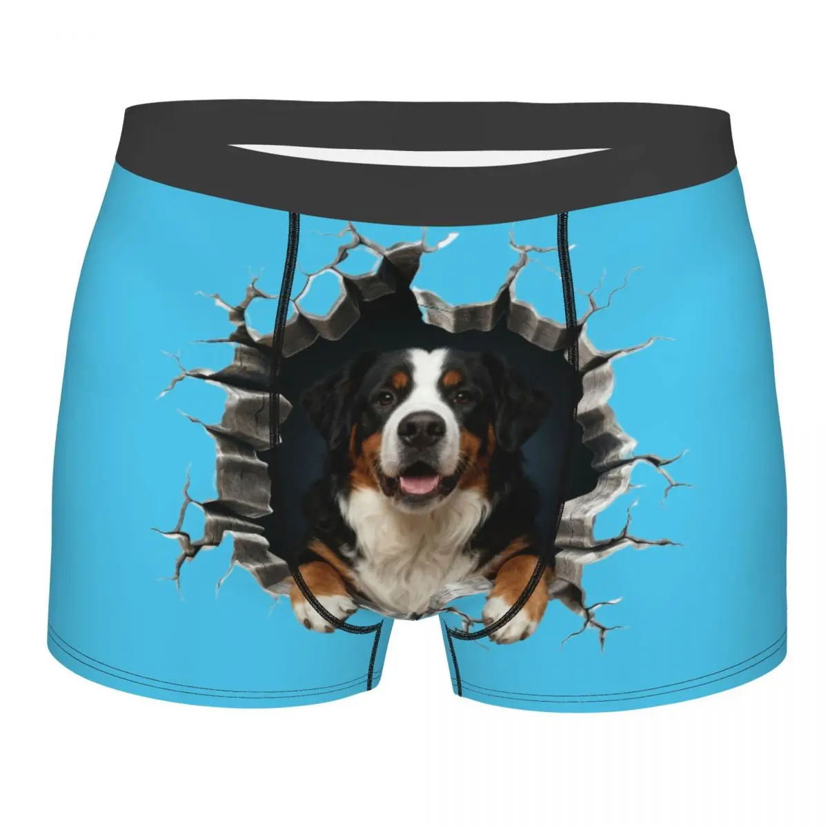 Мужские боксеры для бернского зенненхунда, трусы-боксеры для мужа, бойфренда, подарок на день Святого Валентина, нижнее белье, крутые трусы
Мужские боксеры для бернского зенненхунда, трусы-боксеры для мужа, бойфренда, подарок на день Святого Валентина, нижнее белье, крутые трусы