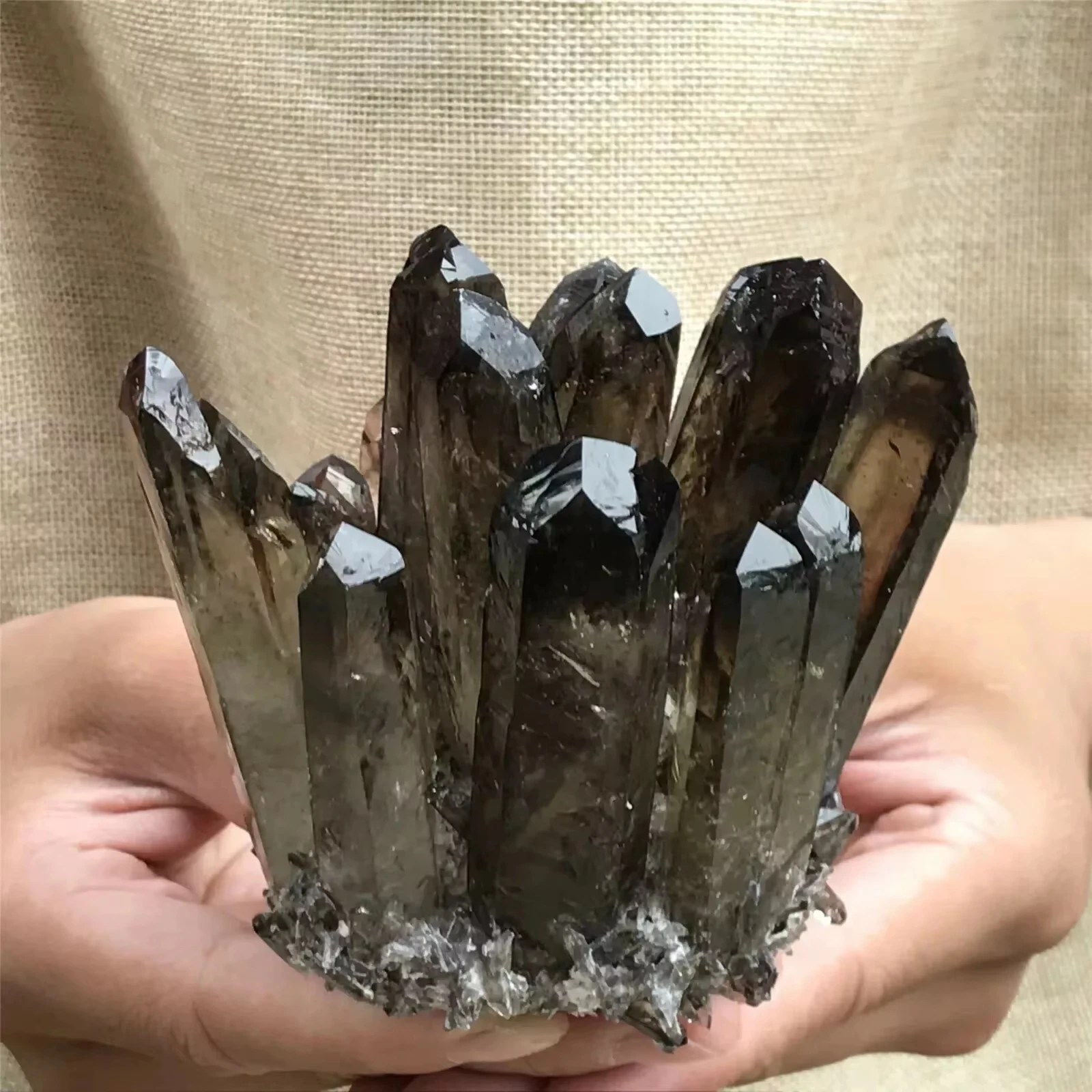 351G+ Unique Rare Smoky Quartz Crystal Cluster Healing Reiki Mineral Specimen
351G+ Unique Rare Smoky Quartz Crystal Cluster Healing Reiki Mineral Specimen