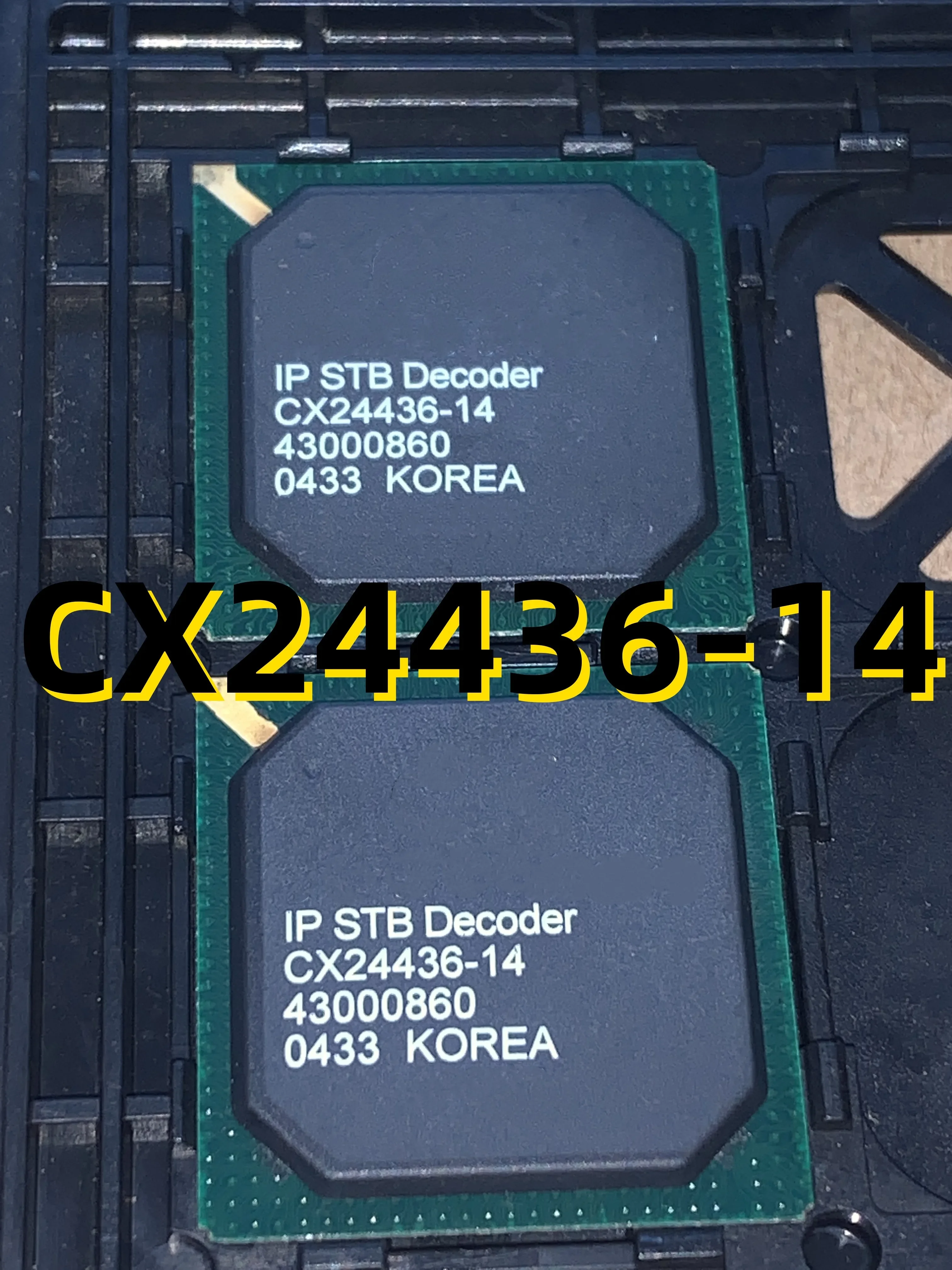 CX24436-14
CX24436-14