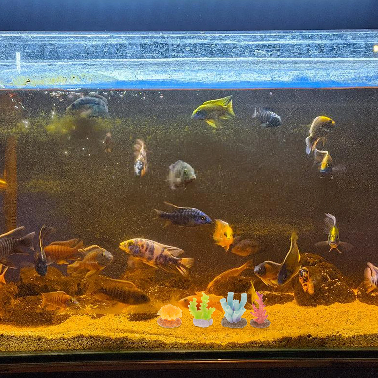 6pcs Decorations Vivid Resin Aquarium Coral Ornaments Aquarium Fish Tank Trinkets Aquatic Reef Accessories Pond Supplies
6pcs Decorations Vivid Resin Aquarium Coral Ornaments Aquarium Fish Tank Trinkets Aquatic Reef Accessories Pond Supplies