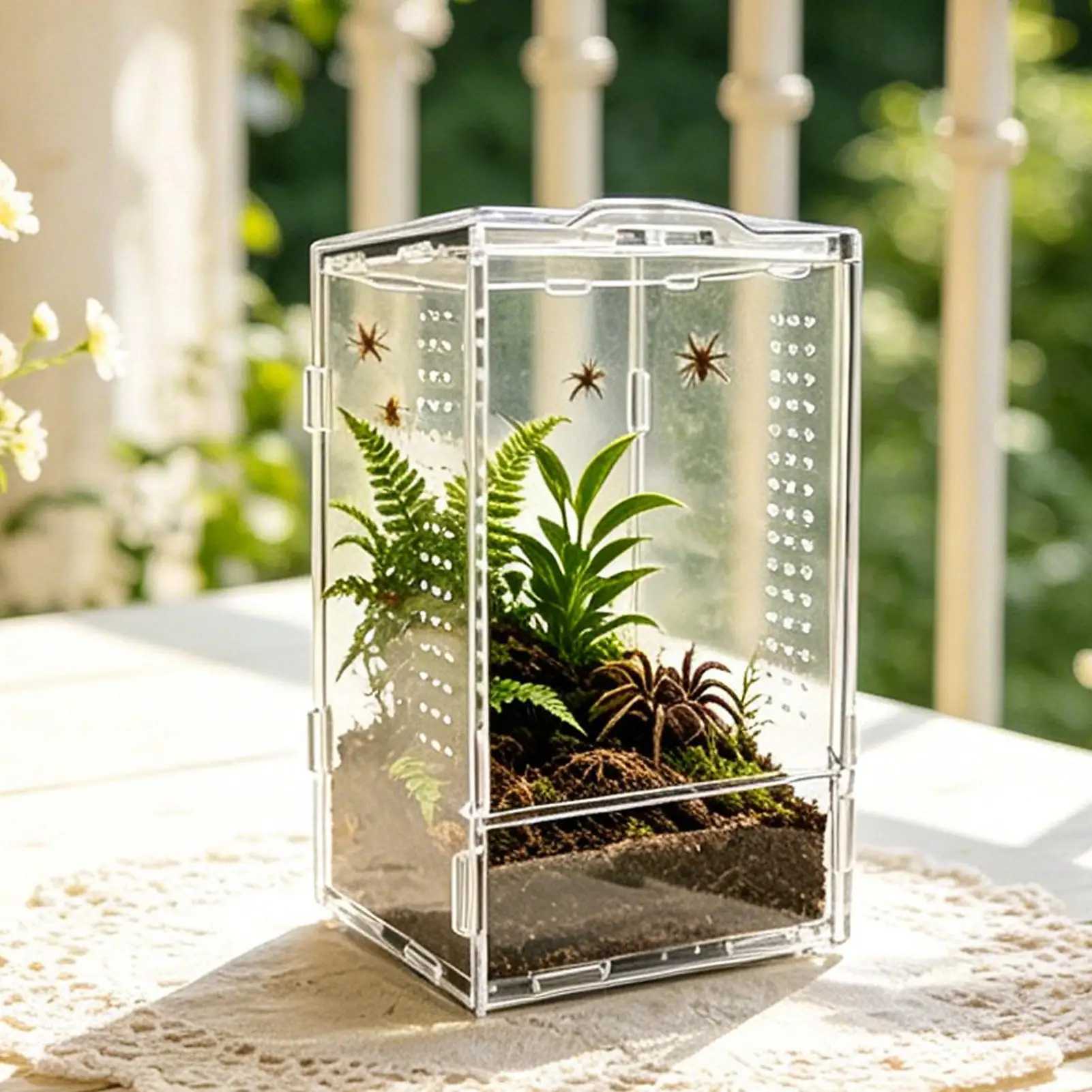 Small Jumping Spider Enclosure Acrylic Tree Frog Habitat Praying Mantis Enclosure For Keepers Breeders Pet Parents Animal Lovers
Small Jumping Spider Enclosure Acrylic Tree Frog Habitat Praying Mantis Enclosure For Keepers Breeders Pet Parents Animal Lovers