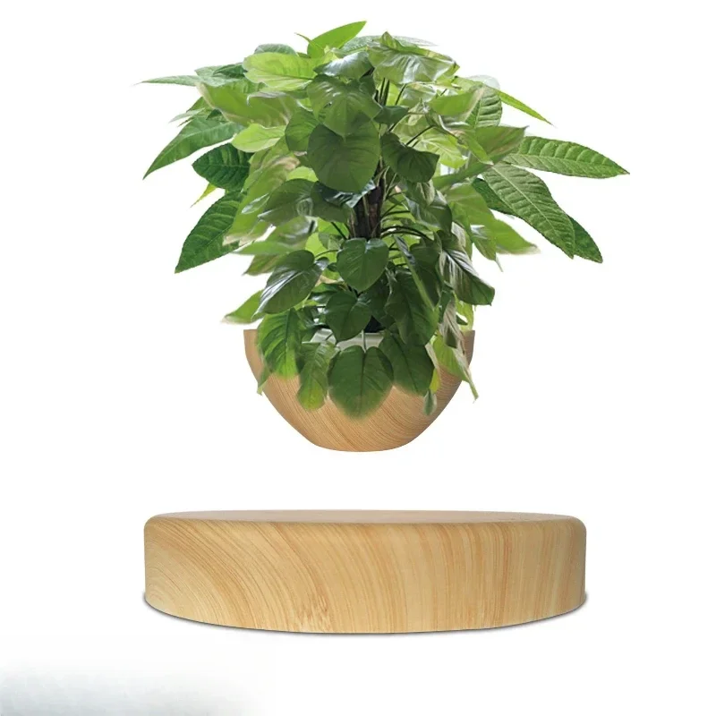 Maglev potted plant novel creative bonsai plant ornament
Maglev potted plant novel creative bonsai plant ornament