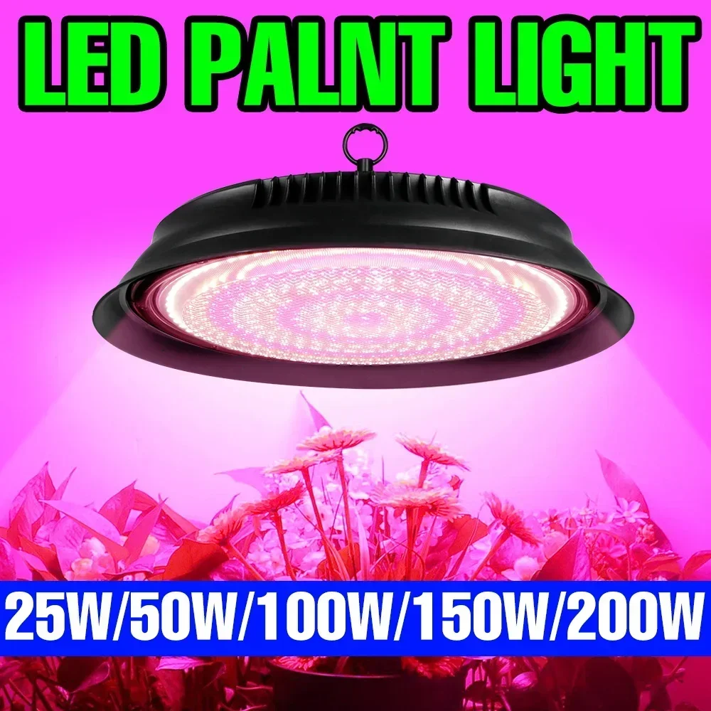 250W LED Grow Light Full Spectrum Plant Fill Lamp Greenhouse Tent Hydroponics Flower Fruit Vegetables Seeds Cultivation Lighting
250W LED Grow Light Full Spectrum Plant Fill Lamp Greenhouse Tent Hydroponics Flower Fruit Vegetables Seeds Cultivation Lighting