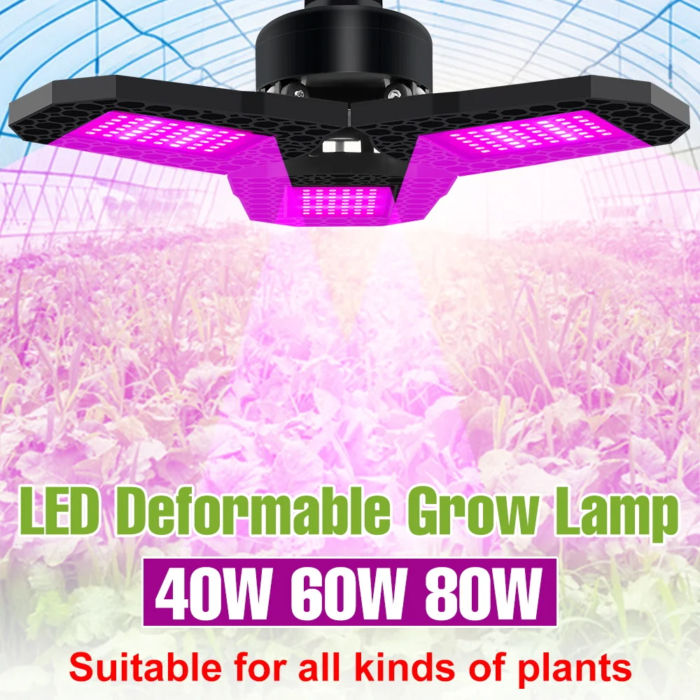 Светодиодная лампа для растений 80 Вт, полный спектр, цоколь E27, для выращивания растений в помещении, для цветов, семян, теплиц, фруктов и овощей, дополнительное освещение
Светодиодная лампа для растений 80 Вт, полный спектр, цоколь E27, для выращивания растений в помещении, для цветов, семян, теплиц, фруктов и овощей, дополнительное освещение