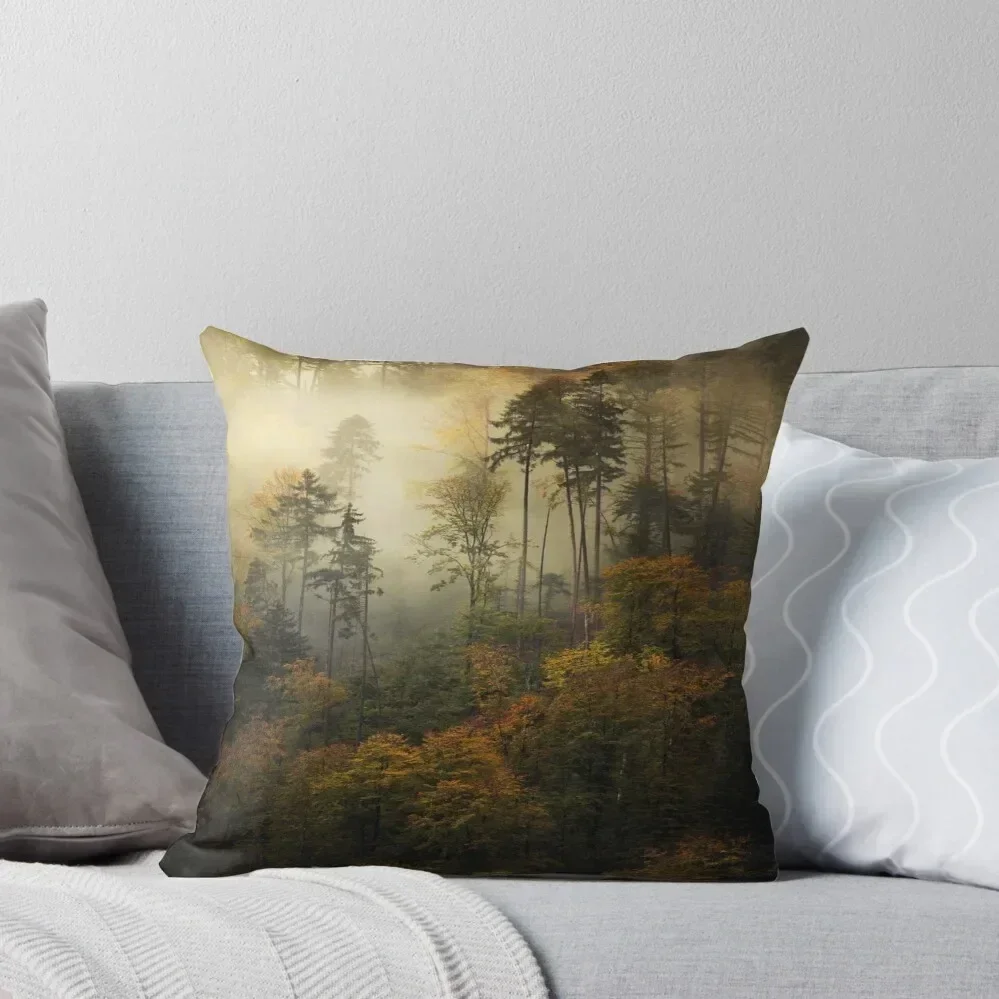 autumn Throw Pillow Decorative Cover For Living Room Decorative Cushions Plaid Sofa Bed pillowcases pillow
autumn Throw Pillow Decorative Cover For Living Room Decorative Cushions Plaid Sofa Bed pillowcases pillow