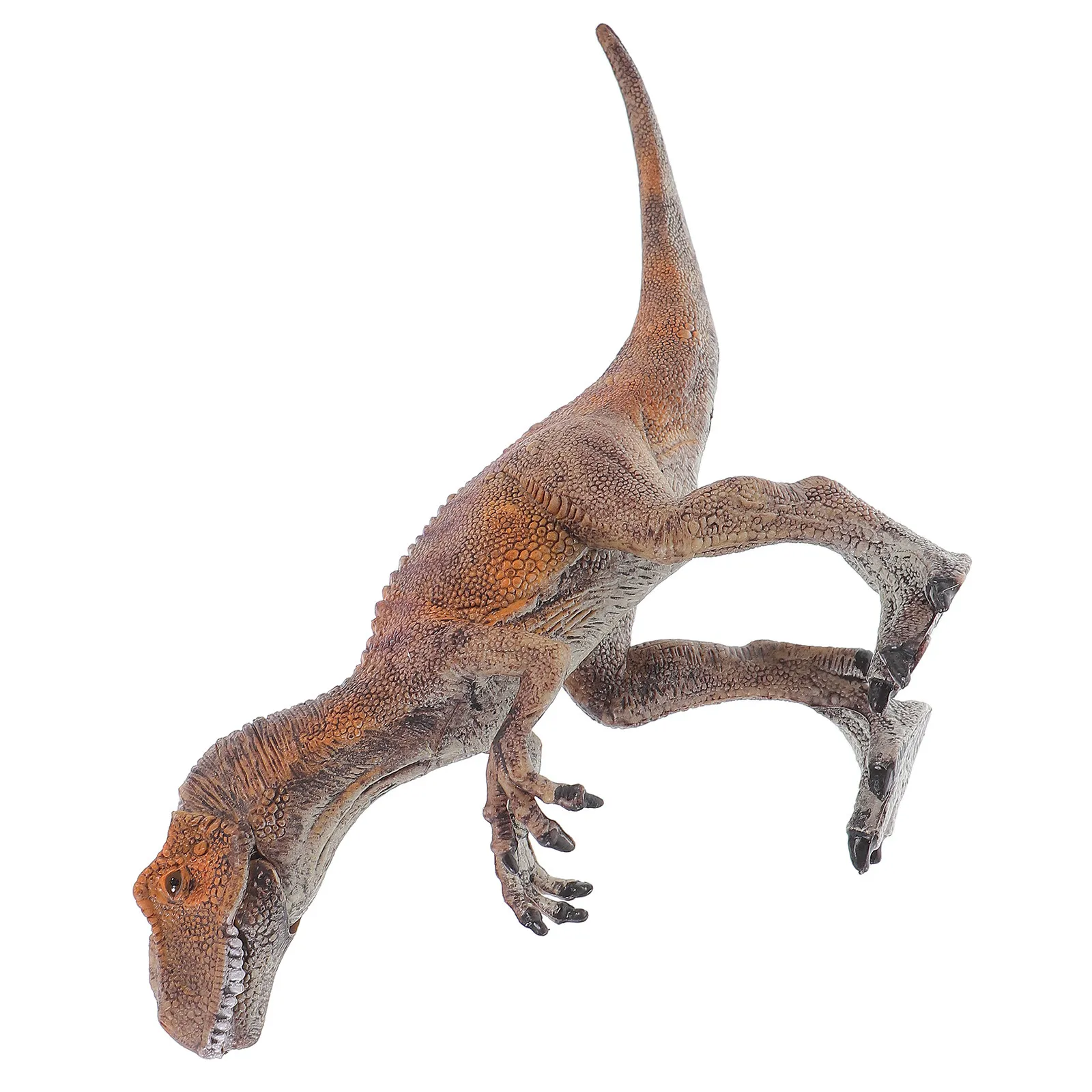 1Pcs Dinosaur Ornament Lifelike PVC Allosaurus Home Decoration Realistic Dinosaur Display
1Pcs Dinosaur Ornament Lifelike PVC Allosaurus Home Decoration Realistic Dinosaur Display