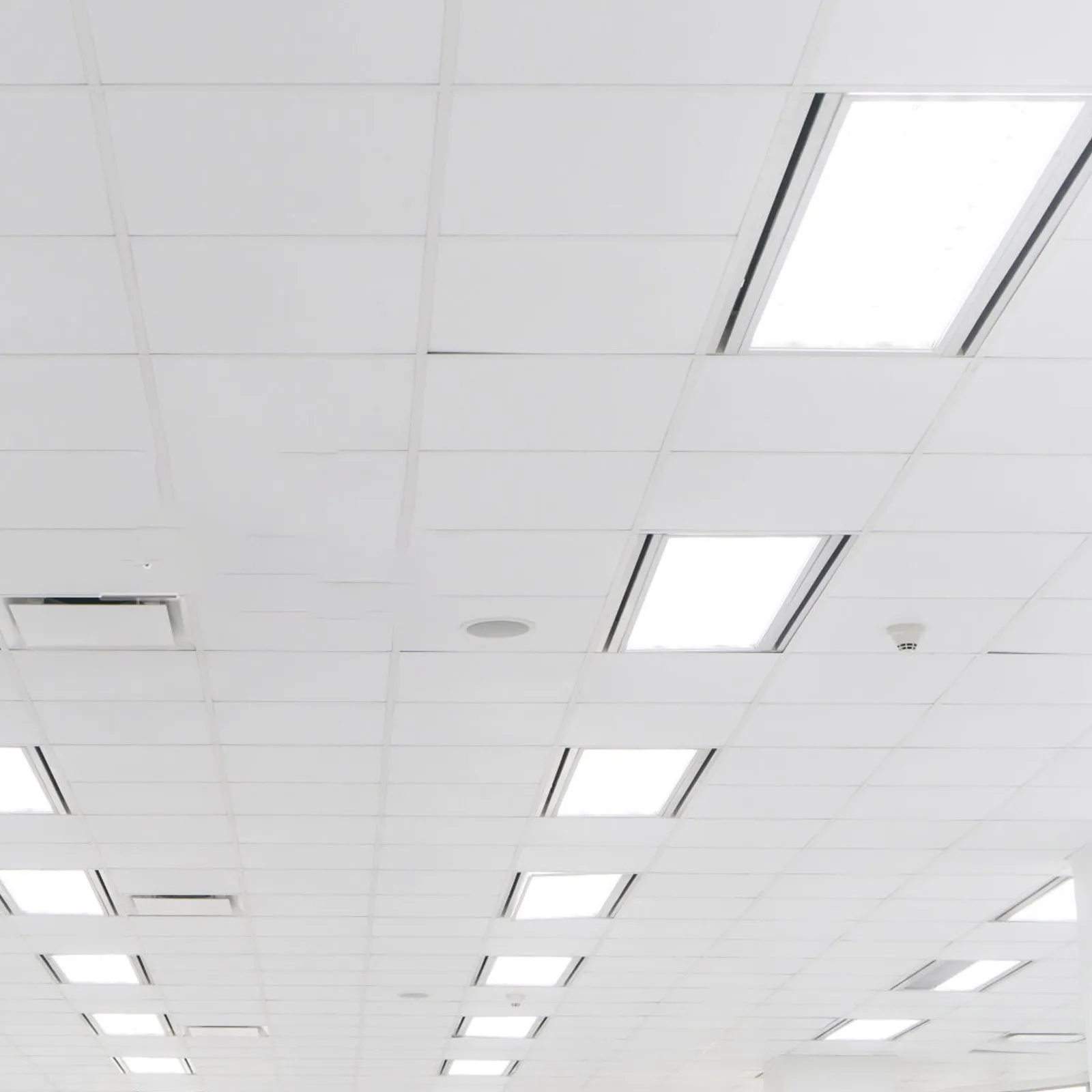 Frosted Acrylic Diffuser Panel 297X210Mm Milky White Led Light Cover Replacement For Ceiling Panel Lamp Fixture Bathroom Kitchen
Frosted Acrylic Diffuser Panel 297X210Mm Milky White Led Light Cover Replacement For Ceiling Panel Lamp Fixture Bathroom Kitchen