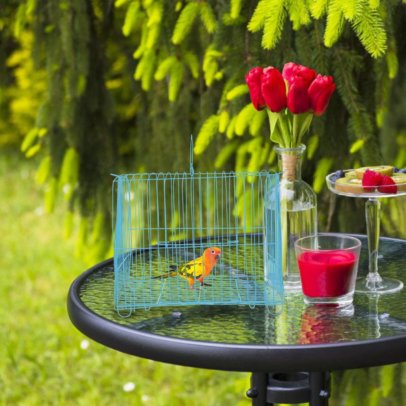 Portable Bird Cage Handcage for Parakeet Travel Small Lightweight Blue Half Round Wire Pet Bird Cage with Ventilation for Easy
Portable Bird Cage Handcage for Parakeet Travel Small Lightweight Blue Half Round Wire Pet Bird Cage with Ventilation for Easy