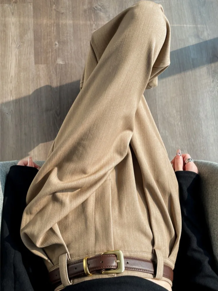 Khaki Wide Leg Pants Women's Spring Autumn High Waist Draped Folded Straight Cut High-End Feelings Casual Trousers
Khaki Wide Leg Pants Women's Spring Autumn High Waist Draped Folded Straight Cut High-End Feelings Casual Trousers