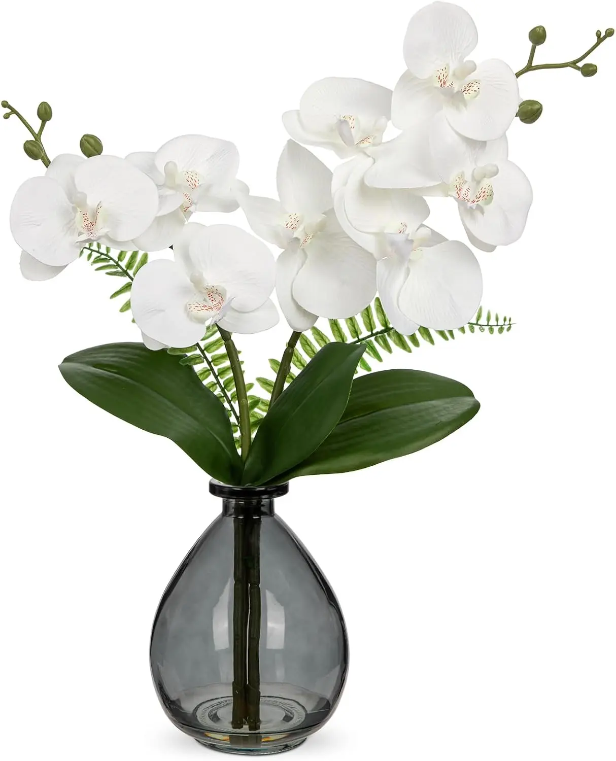 White Orchids Artificial Flowers, Faux Orchid in Glass Vase Real Touch Small Orchid Flowers Arrangements with Black Vase Orchids Centerpiece for Dining Room Table
White Orchids Artificial Flowers, Faux Orchid in Glass Vase Real Touch Small Orchid Flowers Arrangements with Black Vase Orchids Centerpiece for Dining Room Table