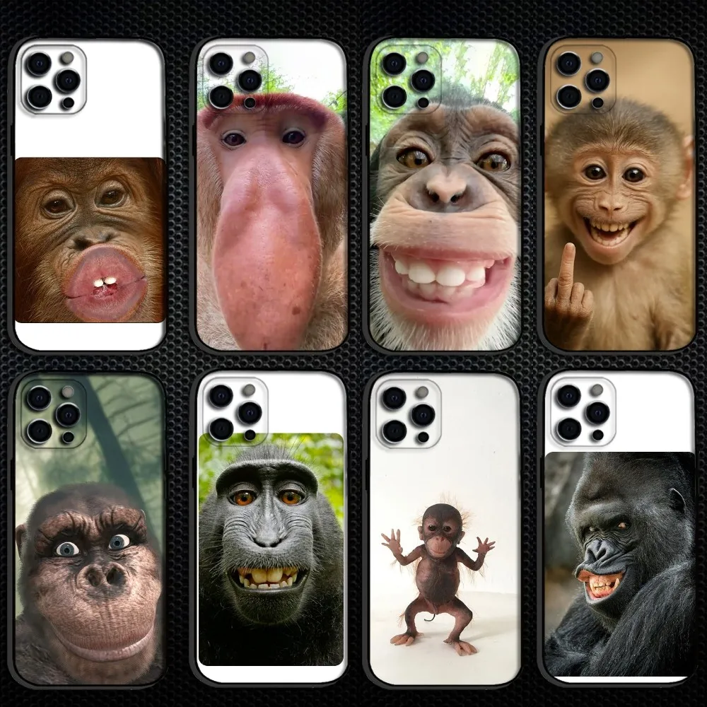 Monkey Memes Funny Phone Case For iPhone 16,15,14,13,12,11 Plus,Pro Max, Soft Silicone Black Cover
Monkey Memes Funny Phone Case For iPhone 16,15,14,13,12,11 Plus,Pro Max, Soft Silicone Black Cover