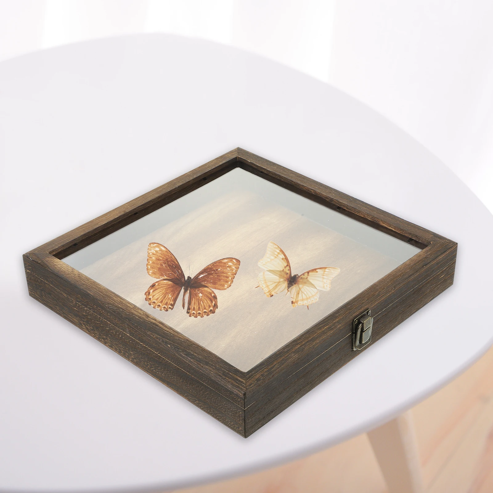 Butterfly Specimen Box 30x30x45cm Wood Case Vintage Glass Specimen Display Case Cover Storage For Jewelry Coins Crafts
Butterfly Specimen Box 30x30x45cm Wood Case Vintage Glass Specimen Display Case Cover Storage For Jewelry Coins Crafts