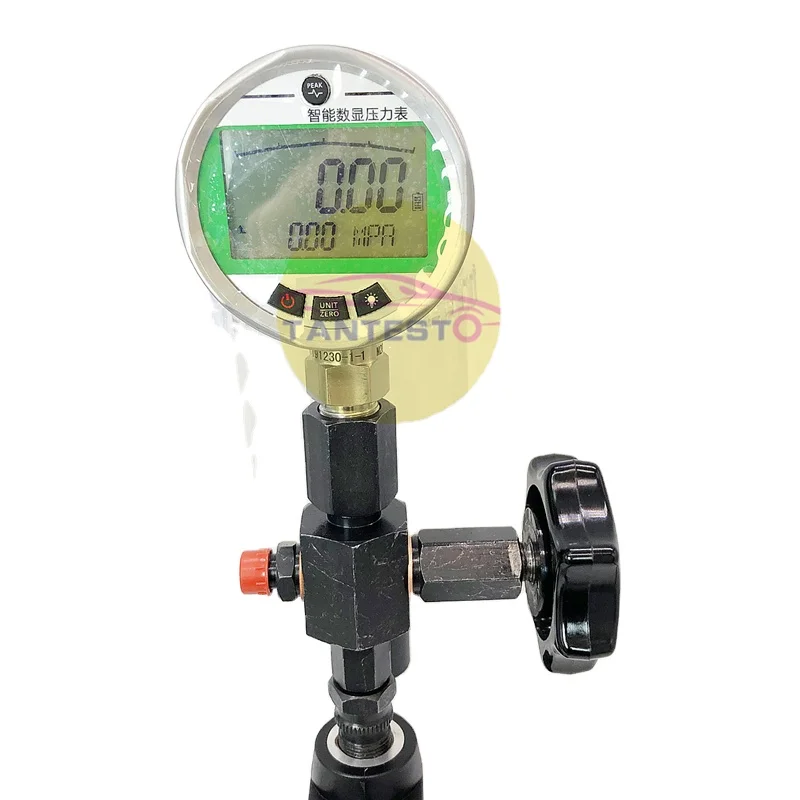 High Quality Hot Selling Aly Machine 0-60MPA Digital Display Pressure Gauge For Diesel Common Rail Injector Tester S90H S60H
High Quality Hot Selling Aly Machine 0-60MPA Digital Display Pressure Gauge For Diesel Common Rail Injector Tester S90H S60H