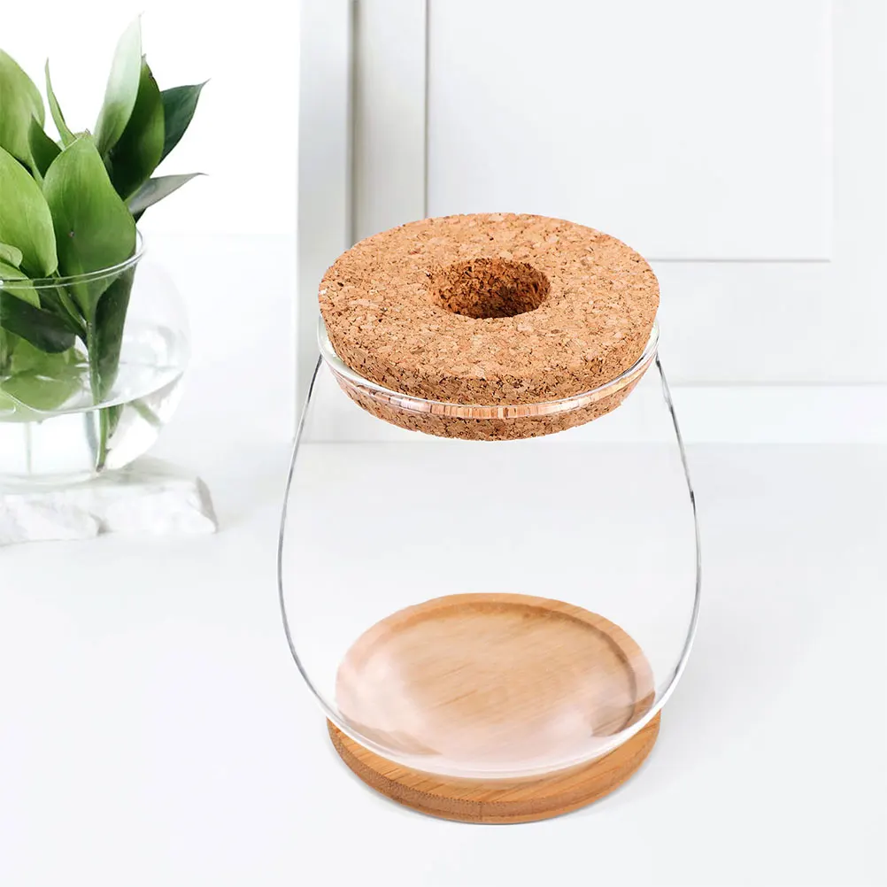 Hydroponic Vase Clear Flower Glass Containers for Plants Vases Hydroponics Micro Landscape Bottle Pots Planter
Hydroponic Vase Clear Flower Glass Containers for Plants Vases Hydroponics Micro Landscape Bottle Pots Planter