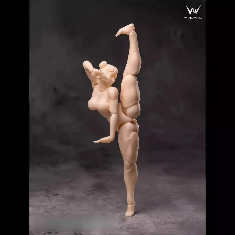 В наличии: Коллекционная аниме-фигурка «Китовая мастерская» — суперподвижное женское тело, модель куклы для хобби и коллекционирования
В наличии: Коллекционная аниме-фигурка «Китовая мастерская» — суперподвижное женское тело, модель куклы для хобби и коллекционирования