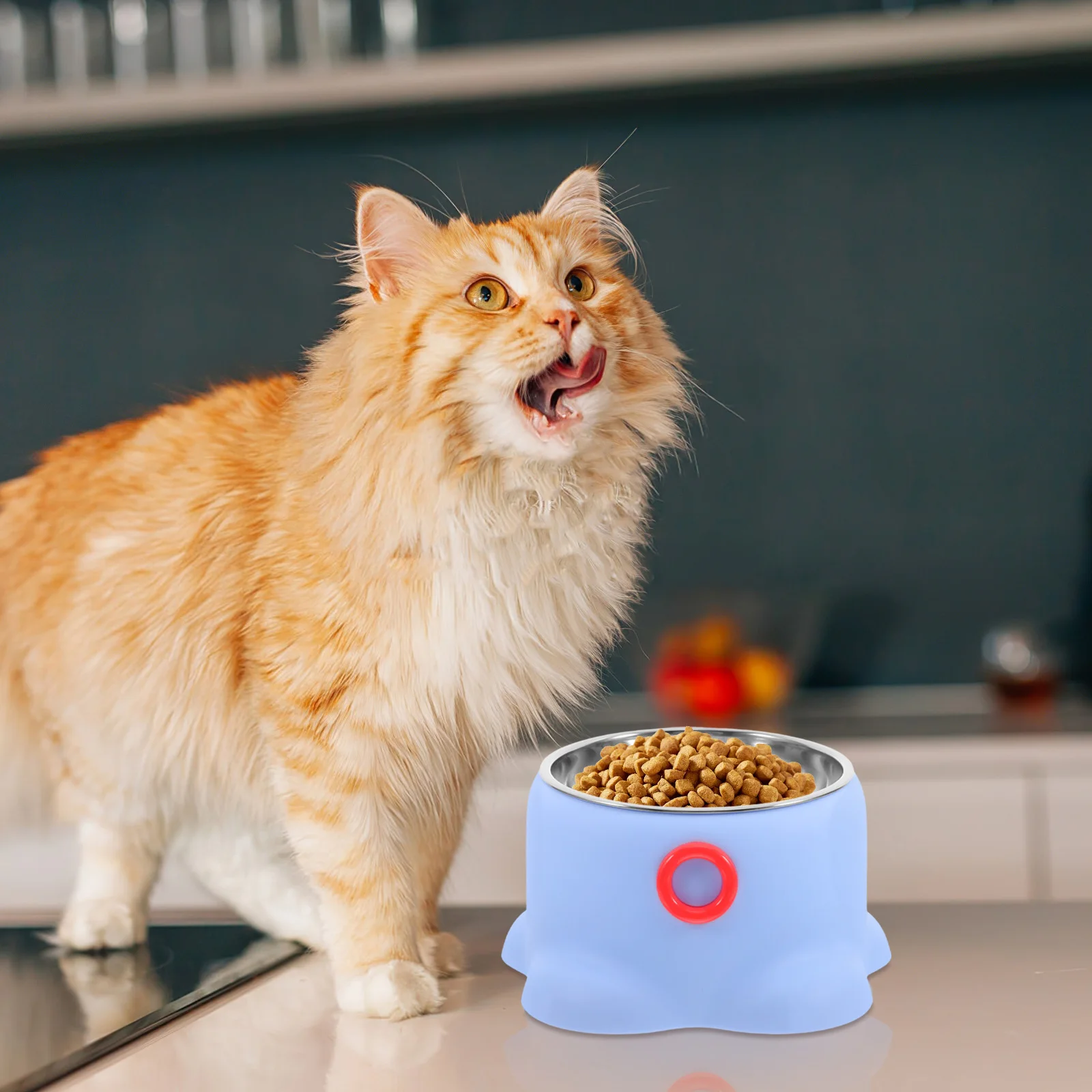 Stainless Steel Pet Bowl Cat Feeding Tray Skyblue Large Dog Dishes Outdoor Portable AntiTipping Design Pet Food Bowl Stainless
Stainless Steel Pet Bowl Cat Feeding Tray Skyblue Large Dog Dishes Outdoor Portable AntiTipping Design Pet Food Bowl Stainless