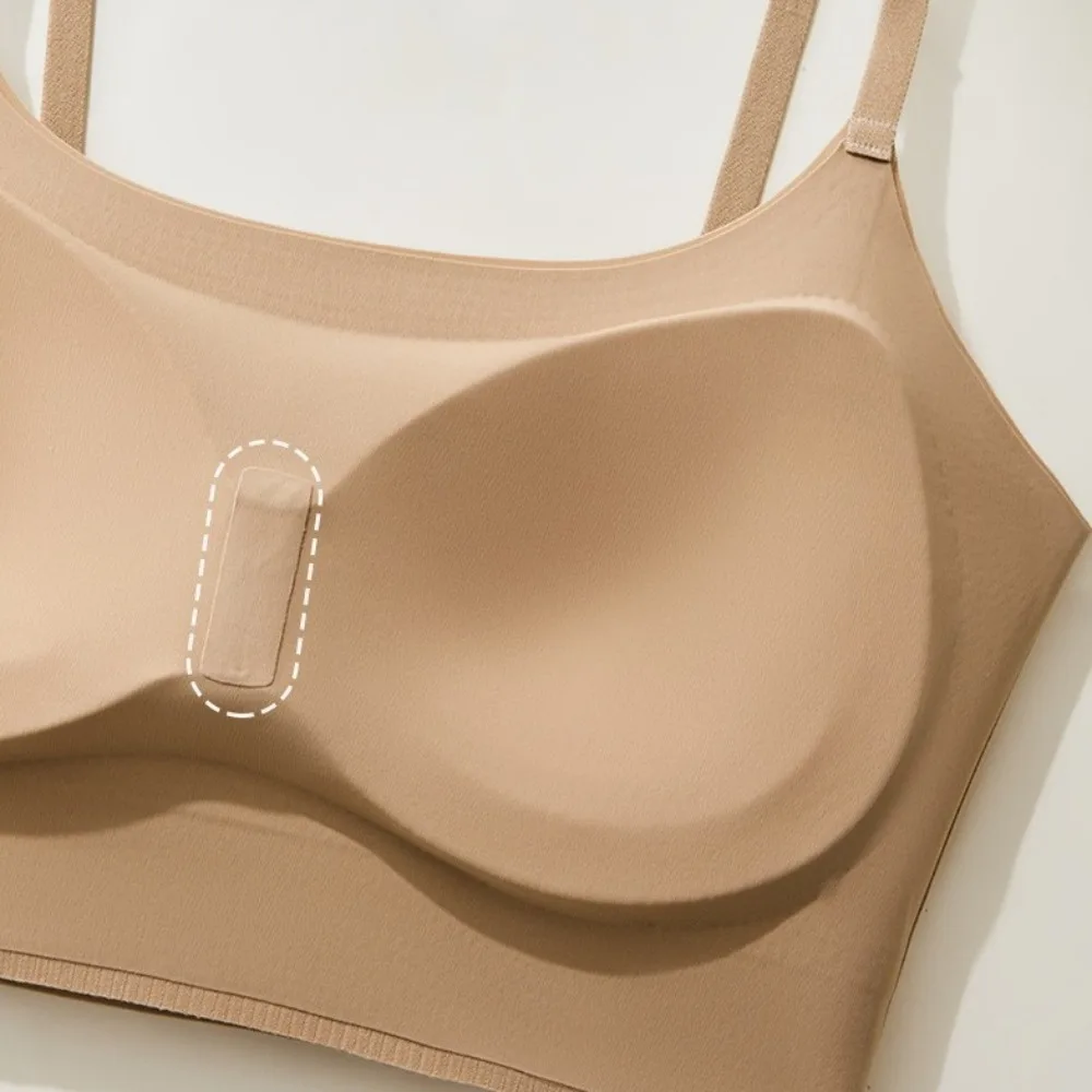 Padded Support Women Wire Free Lingerie Thin Fixed pad Crop Top Vest Comfortable Breathable Full Coverage Underwear for Sports
Padded Support Women Wire Free Lingerie Thin Fixed pad Crop Top Vest Comfortable Breathable Full Coverage Underwear for Sports