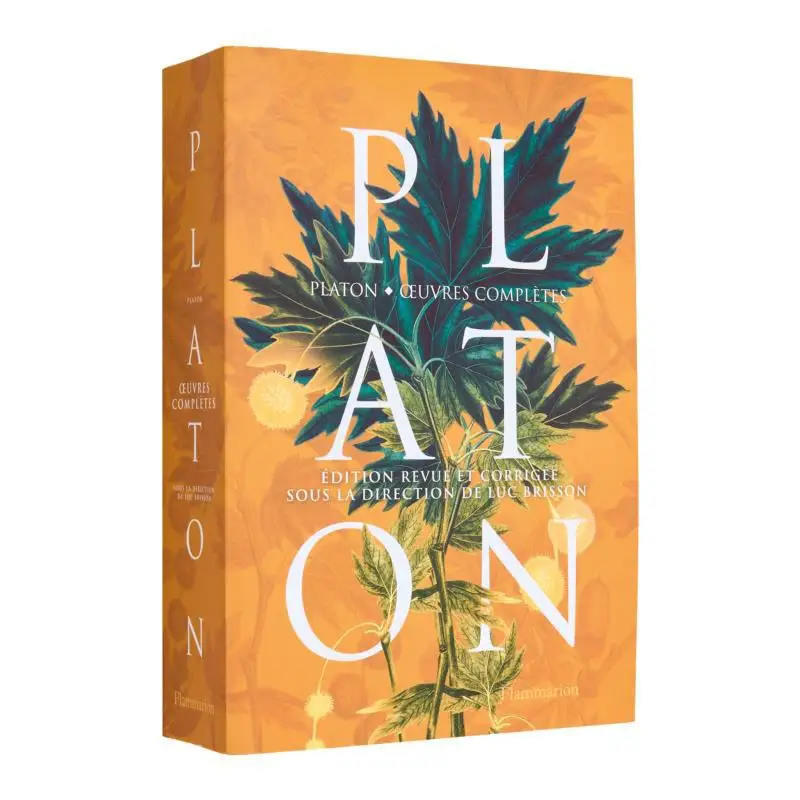 Complete Works Platon Flammarion 9782080426635 Book
Complete Works Platon Flammarion 9782080426635 Book