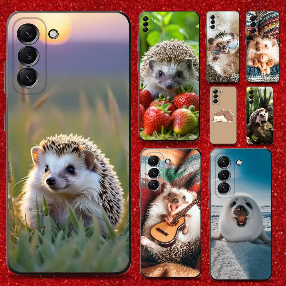 Cute Animal Hedgehog Phone Case For Samsung Galaxy A13,A21s,A22,A31,A32,A52,A53,A71,A80,Soft Black Shell
Cute Animal Hedgehog Phone Case For Samsung Galaxy A13,A21s,A22,A31,A32,A52,A53,A71,A80,Soft Black Shell