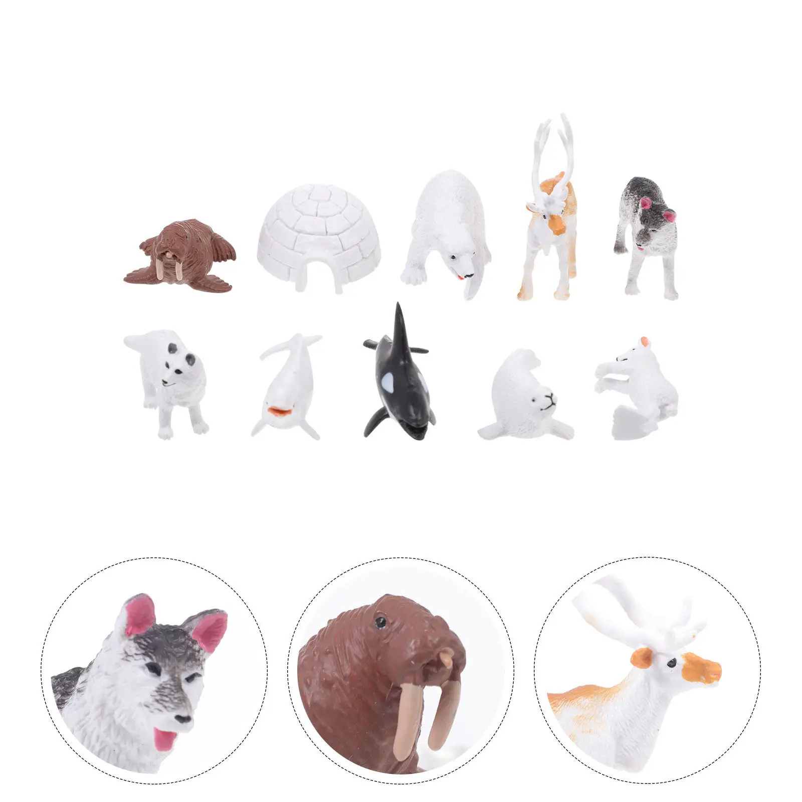 1Set Premium PVC Simulation North Set Realistic Lifelike Polar Animals for Kids Cognitive Development Sand Board
1Set Premium PVC Simulation North Set Realistic Lifelike Polar Animals for Kids Cognitive Development Sand Board