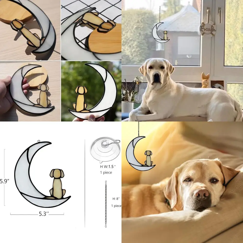 BOXCASA Подарок сочувствия собаки, Стандартная стеклянная собака на луне для подарков «Ловец солнца», Мемориальные подарки желтой собаки для подарков на потере домашних животных, Pe
BOXCASA Подарок сочувствия собаки, Стандартная стеклянная собака на луне для подарков «Ловец солнца», Мемориальные подарки желтой собаки для подарков на потере домашних животных, Pe