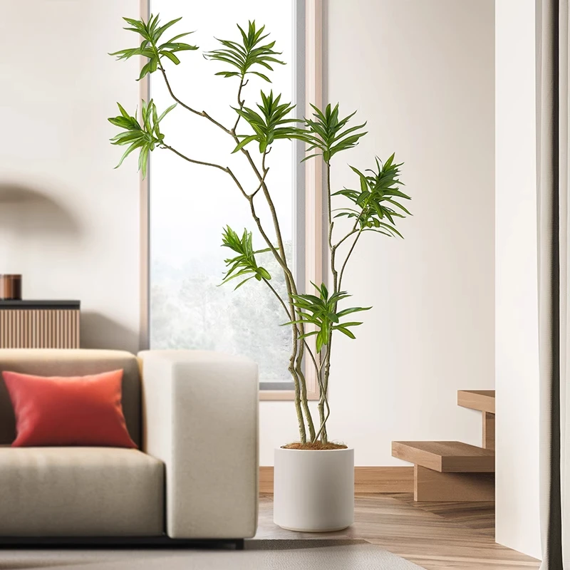 Simulation Plant Lily Bamboo Green Plant Big Potted Fake Tree Landing Pieces Shooting Props Photo Room Decor Aesthetic
Simulation Plant Lily Bamboo Green Plant Big Potted Fake Tree Landing Pieces Shooting Props Photo Room Decor Aesthetic
