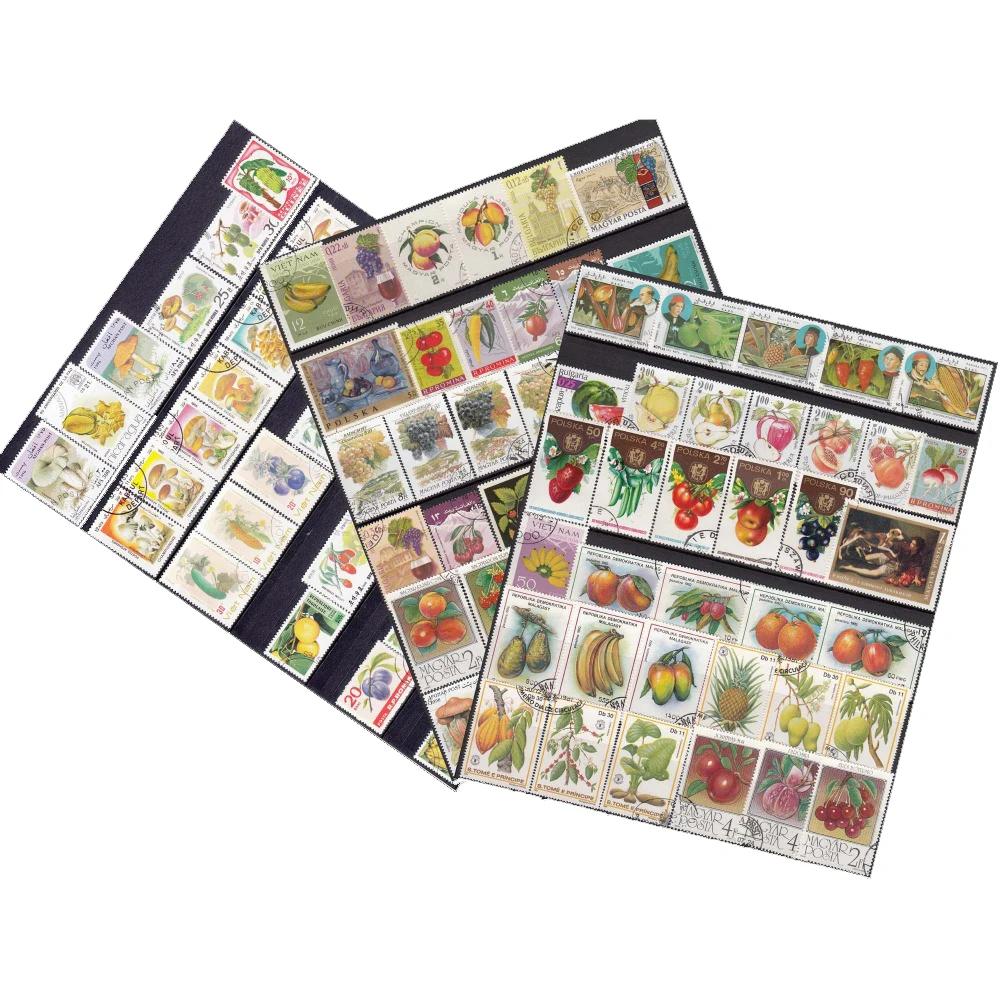 100PCS/LOT No Repeation,Fruits and vegetables , World Wide Postage Stamps All Middle , Big Stamps NO Small ,For Collecting
100PCS/LOT No Repeation,Fruits and vegetables , World Wide Postage Stamps All Middle , Big Stamps NO Small ,For Collecting