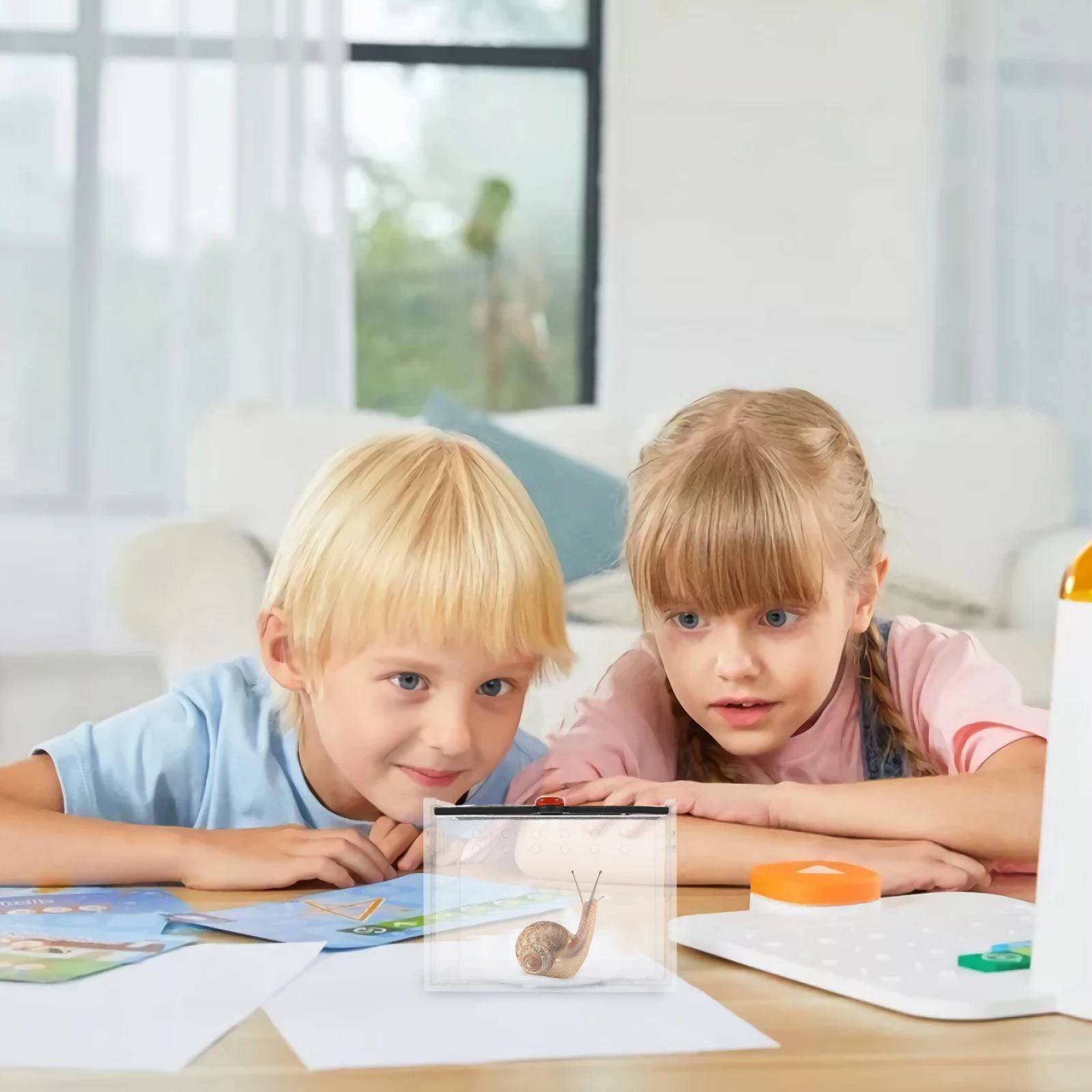 Transparent Acrylic Reptile Feeding Box Ventilated Enclosure for Spider Tarantula Snail Lizard Small Animal Terrarium Pet
Transparent Acrylic Reptile Feeding Box Ventilated Enclosure for Spider Tarantula Snail Lizard Small Animal Terrarium Pet