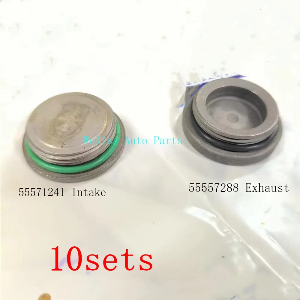 10sets Camshaft Tooth Screw Cap Cover 55571241 55557288 For Chevrolet Cruze Sonic Epica Opel Mokka Astra Zafira
10sets Camshaft Tooth Screw Cap Cover 55571241 55557288 For Chevrolet Cruze Sonic Epica Opel Mokka Astra Zafira