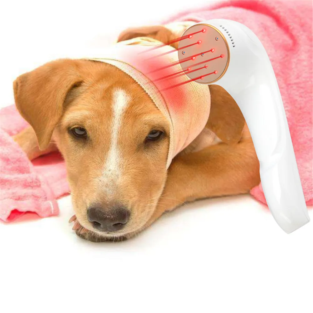 Handheld Infrared Red Light Cold Therapy Device for Pet, Light Therapy for Pain Relief, Muscle & Joint Pain
Handheld Infrared Red Light Cold Therapy Device for Pet, Light Therapy for Pain Relief, Muscle & Joint Pain