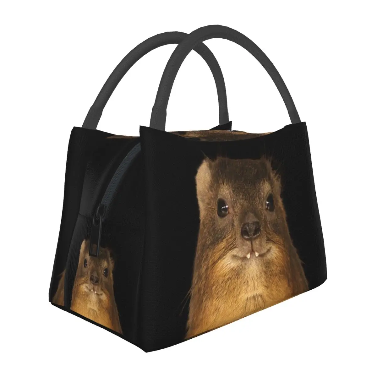 Rock Hyrax Photo Руси Вампир Картофель Сумки для обеда Bento Box Водонепроницаемая сумка для обеда Сумки для пикника Термосумка для женщин и детей Работа
Rock Hyrax Photo Руси Вампир Картофель Сумки для обеда Bento Box Водонепроницаемая сумка для обеда Сумки для пикника Термосумка для женщин и детей Работа