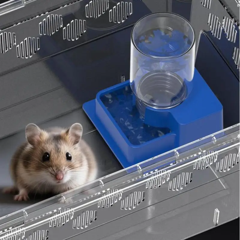 Автоматическая кормушка для рептилий с бутылкой для черепах, черепах, ящериц, защита от утопления, товары для домашних животных
Автоматическая кормушка для рептилий с бутылкой для черепах, черепах, ящериц, защита от утопления, товары для домашних животных