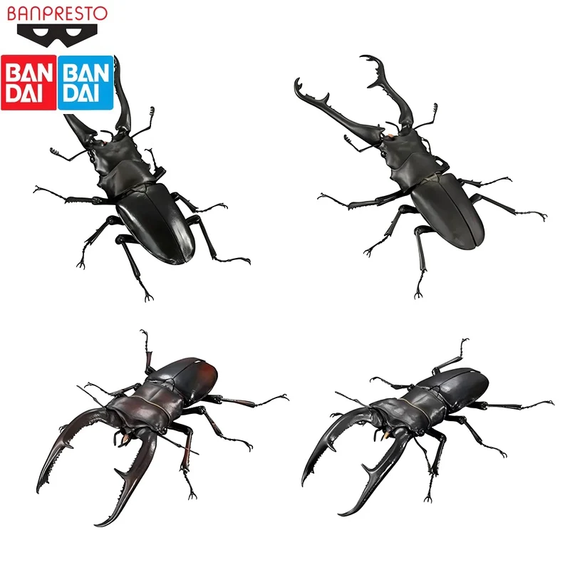 In Stock BANDAI Original Bio-Big Picture Book Stag Beetle Saw Stag Simulated Insects Can Be Used To Make A Model Holiday Gift 
In Stock BANDAI Original Bio-Big Picture Book Stag Beetle Saw Stag Simulated Insects Can Be Used To Make A Model Holiday Gift