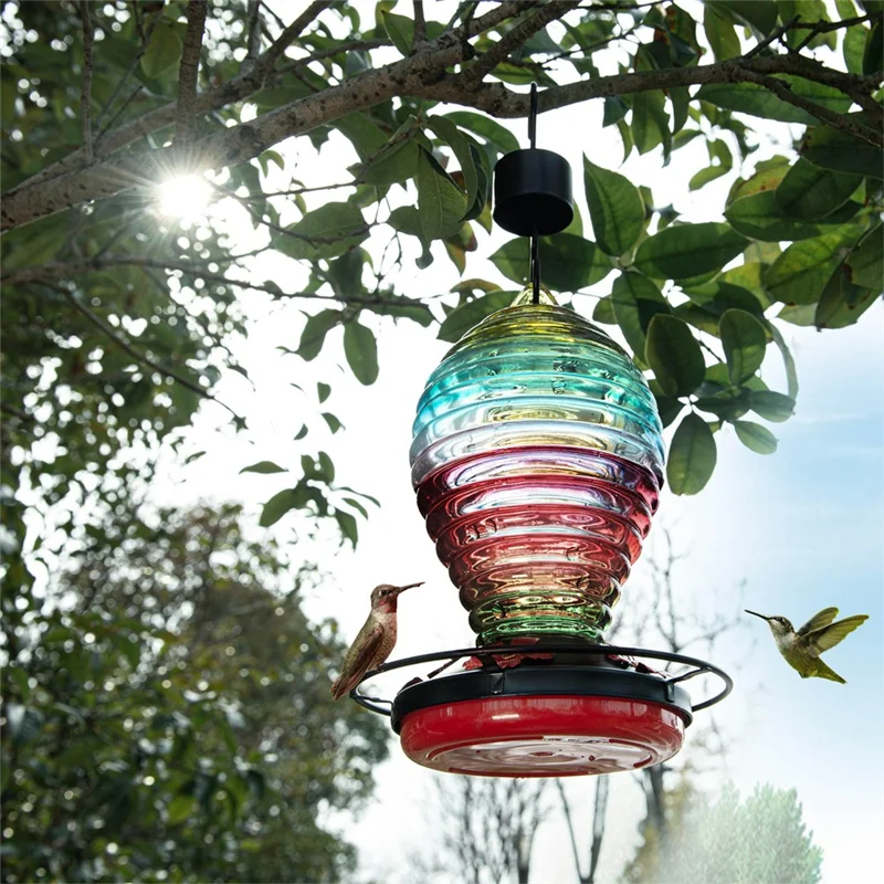 RMWIN-Glass Hummingbird Feeder Rainbow Hummingbird Feeders For Outdoors Hanging 29 Ounces, Cute Spiral Shape Bottle
RMWIN-Glass Hummingbird Feeder Rainbow Hummingbird Feeders For Outdoors Hanging 29 Ounces, Cute Spiral Shape Bottle